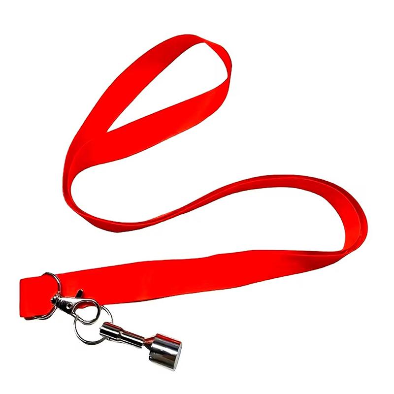 (BF06) Magnetische bal-ophaalt - Outdoor Sport Games recensie en prijs